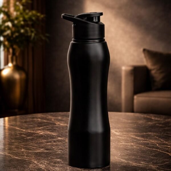 Stainless Steel Bottle Capacity: 750ml